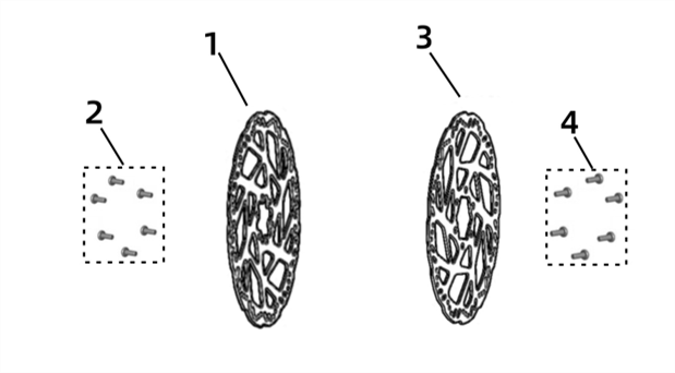 Front/Rear Brake Disc (Thick) - LBX 2025