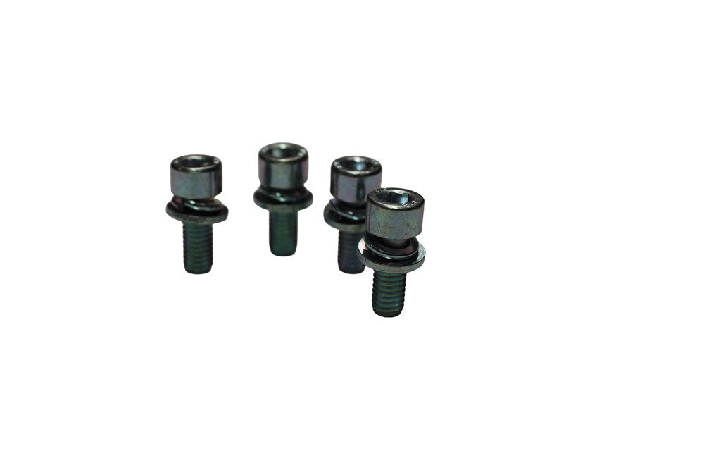 Surron Light Bee X/L1E - Screw B8001 (M6*16) (MPC: B8-001-06-016-F2 ...