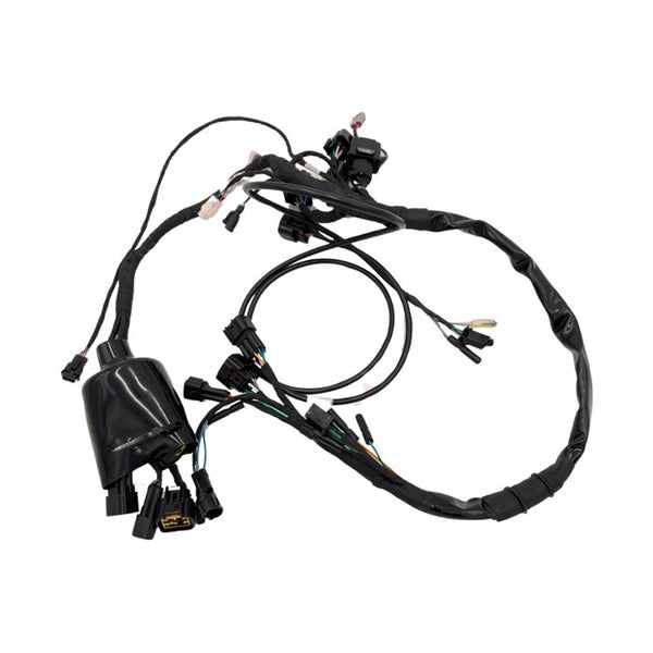 Surron Light Bee L1E - Main Cable Wire Harness (MPC: 24100-YQ2B-0200)